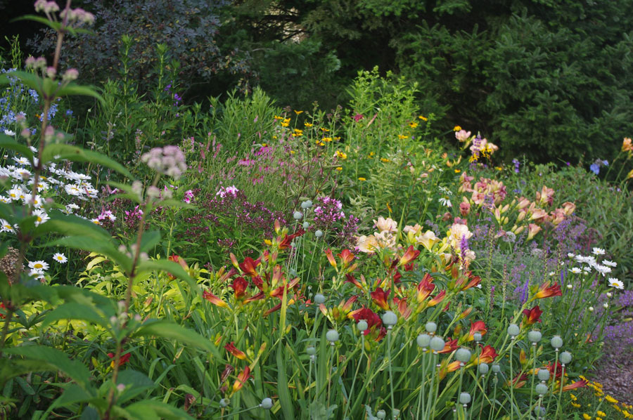 Anna's Perennial Garden